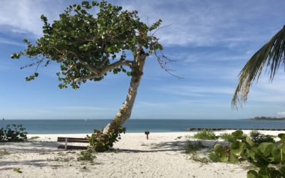 The 6 Best Things to do on Marco Island