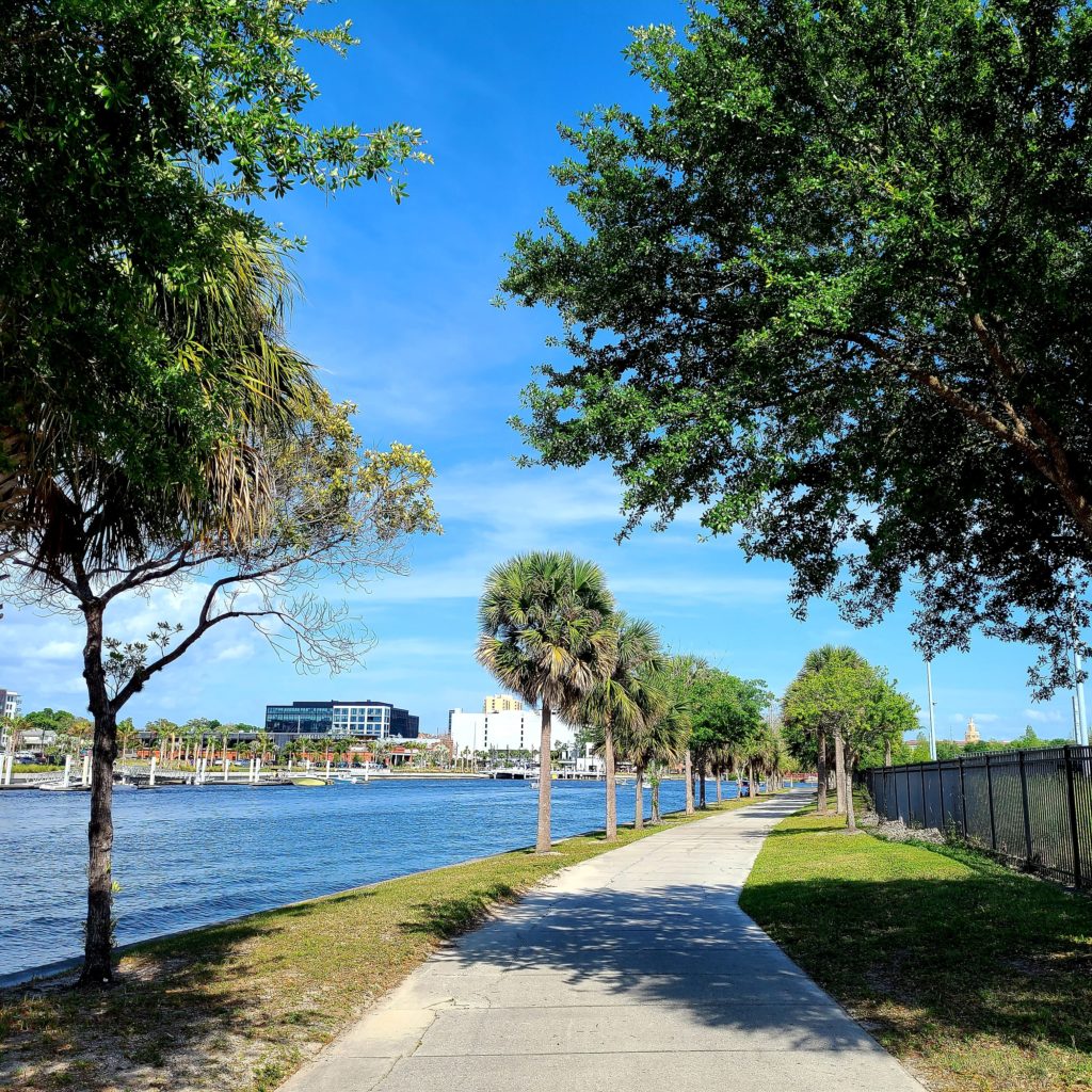 Tampa Riverwalk sidewalk with trees. One of the best things to do in Tampa for couples