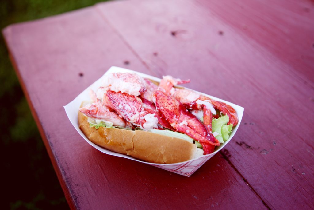 lobster roll on a picnic table