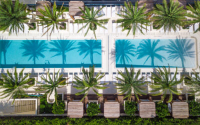 The Top 3 Miami Hotels with Rooftop Pools